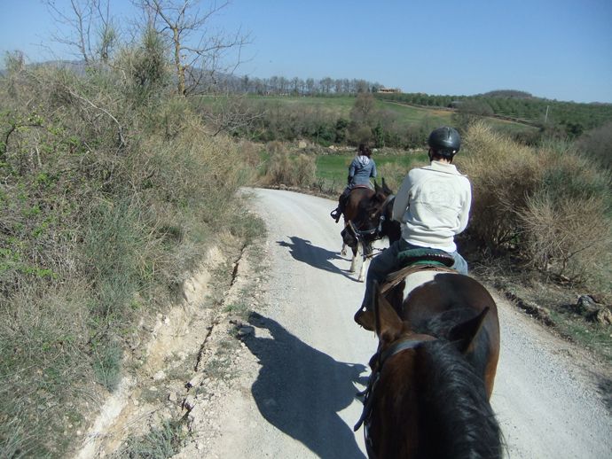 Escursione a cavallo