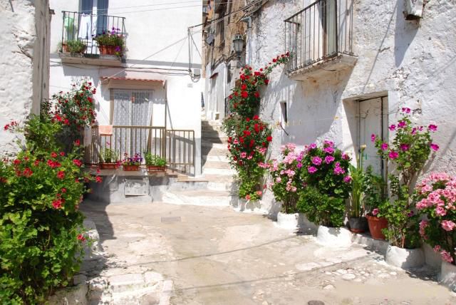 via nel centro storico di Cagnano Varano