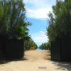Un viale alberato con cancelli aperti conduce a una spiaggia vista in lontananza.