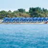 Una spiaggia con ombrelloni blu allineati vicino alla vegetazione.