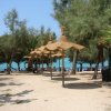 Spiaggia con ombrelloni di paglia, alberi e vista sul mare azzurro.