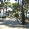 Vialetto asfaltato tra case bianche e alberi alti.