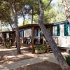 Casette mobili in legno sotto gli alberi, lungo un sentiero pavimentato.