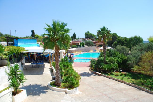 Piscina circondata da palme e vegetazione con un percorso lastricato.