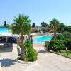 Piscina circondata da palme e vegetazione con un percorso lastricato.