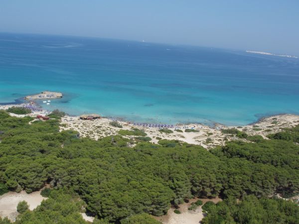 Vista aerea di una spiaggia con mare azzurro e foresta.