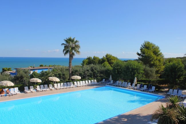 Piscina circondata da sedie e alberi.